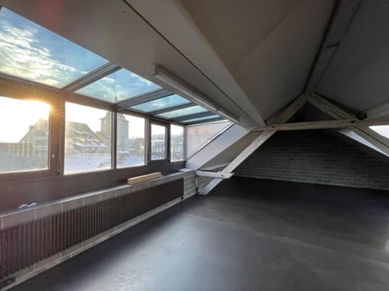 atrium with glass roof, brick wall, heater, large windows