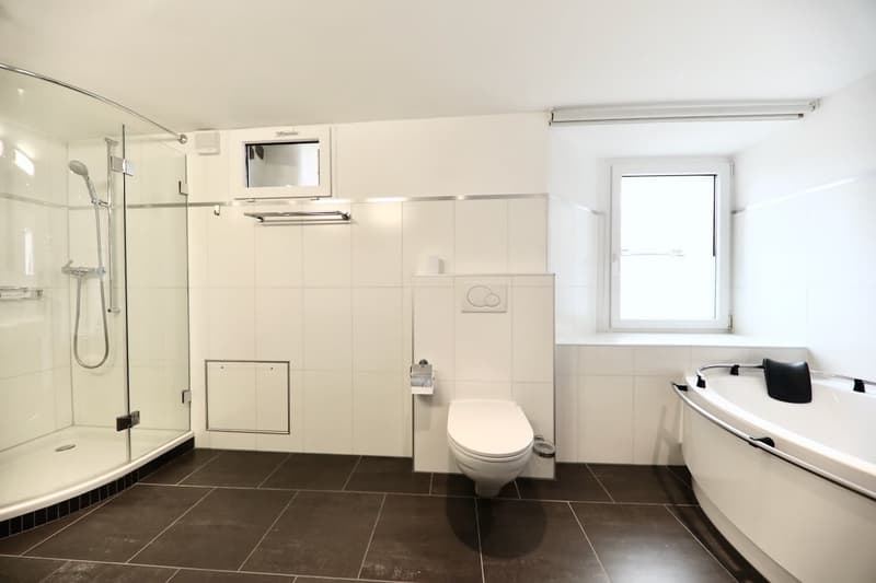 Exklusive Wohnung im Herzen der Altstadt von Schaffhausen (16)