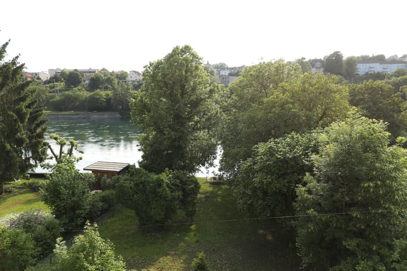 Idyllisches Wohnen direkt am Rhein (9)