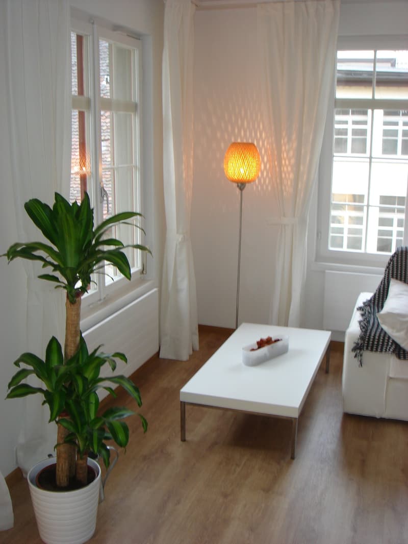 Eine kleine «schmucke» Wohnung mitten im Zentrum Schaffhausen (11)