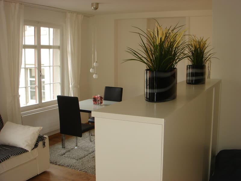 Eine kleine «schmucke» Wohnung mitten im Zentrum Schaffhausen (10)