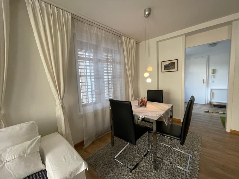Eine kleine «schmucke» Wohnung mitten im Zentrum Schaffhausen (2)
