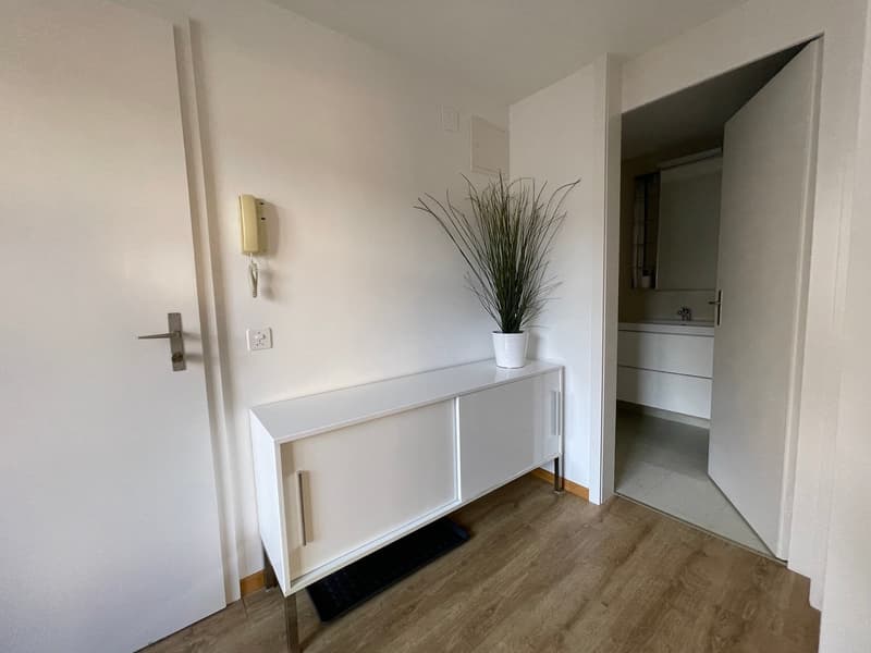Eine kleine «schmucke» Wohnung mitten im Zentrum Schaffhausen (5)