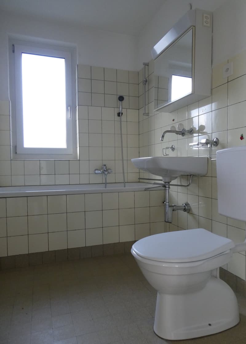 3.5 plus 1 Zusatzzimmer-Wohnung in Schaffhausen Mutzentäli (4)