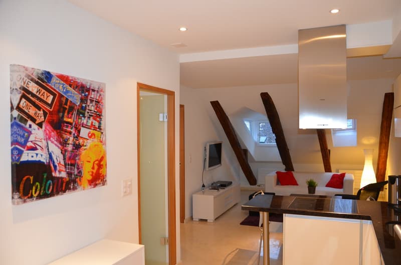 Kleine, praktische und hochwertige Wohnung in der Altstadt (8)