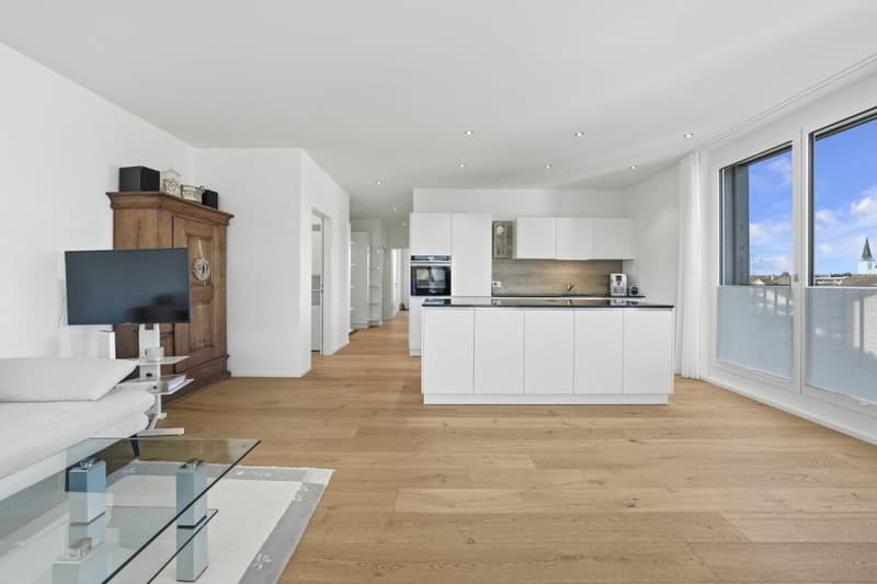 Bijou de grenier avec terrasse de 76m² et vue panoramique (6)