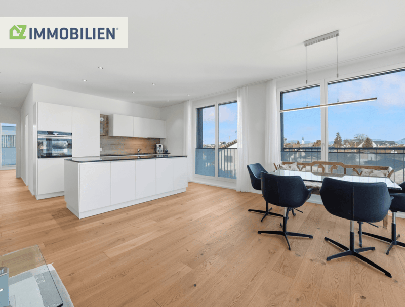 Bijou de grenier avec terrasse de 76m² et vue panoramique (1)