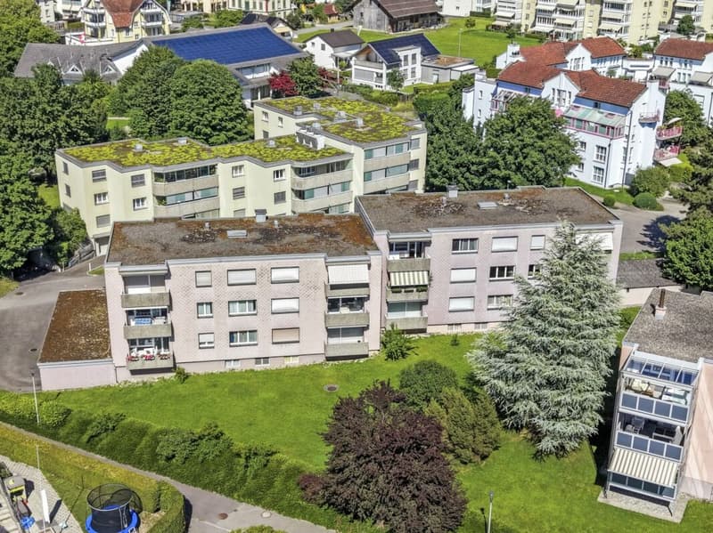 Modernisiserte 3.5-Zimmer-Wohnung an zentraler Lage (10)