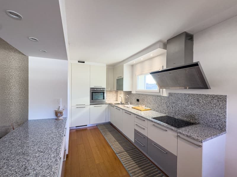 Appartamento 4.5 locali a Pregassona (3)