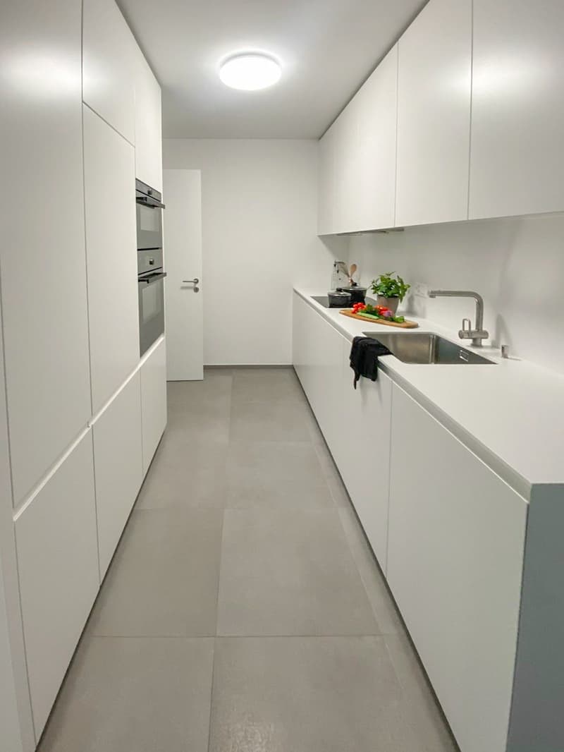 Moderno 3.5 locali con giardino a Bellinzona (2)