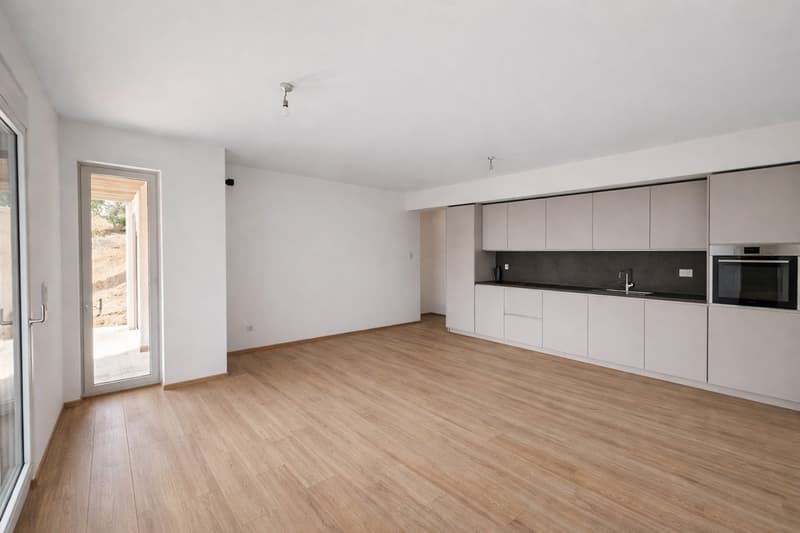 Nuovo 3.5 locali vista lago con giardino a Massagno (1)