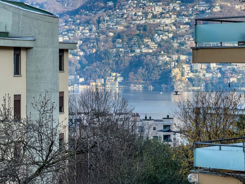Appartamento 4.5 locali con scorcio sul lago a Paradiso (7)
