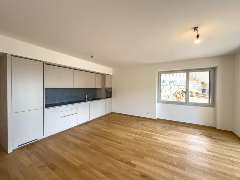 Moderno 3.5 locali vista lago di nuova costruzione a Massagno (3)