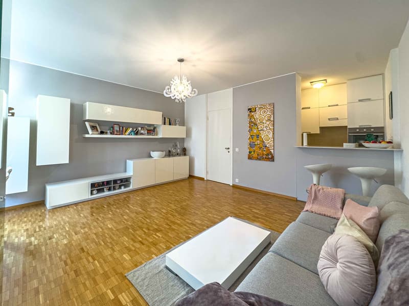 2.5 locali vicino al centro di Lugano (3)
