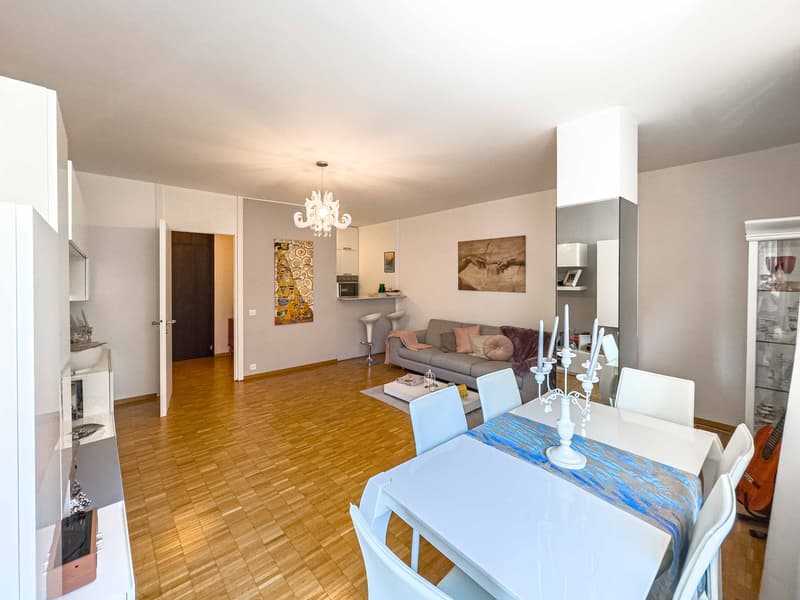 2.5 locali vicino al centro di Lugano (4)
