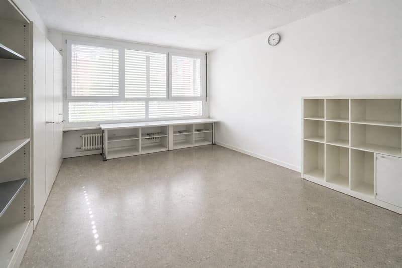 Spazioso appartamento 4.5 locali a Lugano (3)