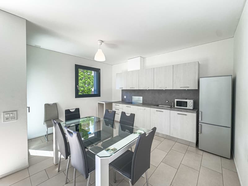 Appartamento 3.5 locali con terrazza a Lugano (3)