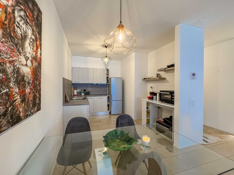 Moderno 2.5 locali vicino al centro città (3)
