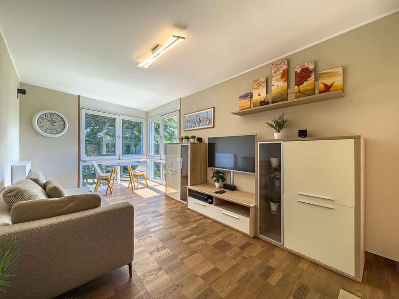 Casa sul lago a Caslano con pontile privato (2)