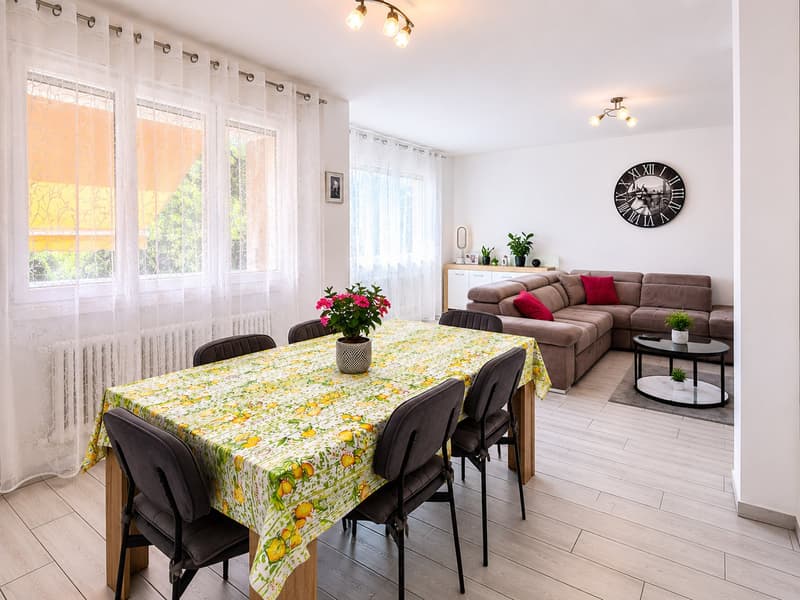 Appartamento 4.5 locali con terrazzo a Ligornetto (3)