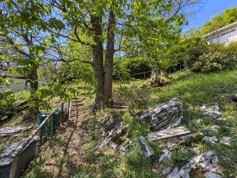 Casa con grande giardino nel verde a Sagno (10)