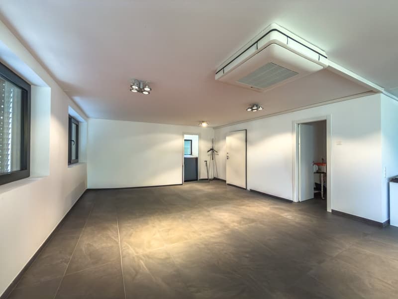 Ufficio open space a Massagno con vetrine su strada e 3 posti auto (2)