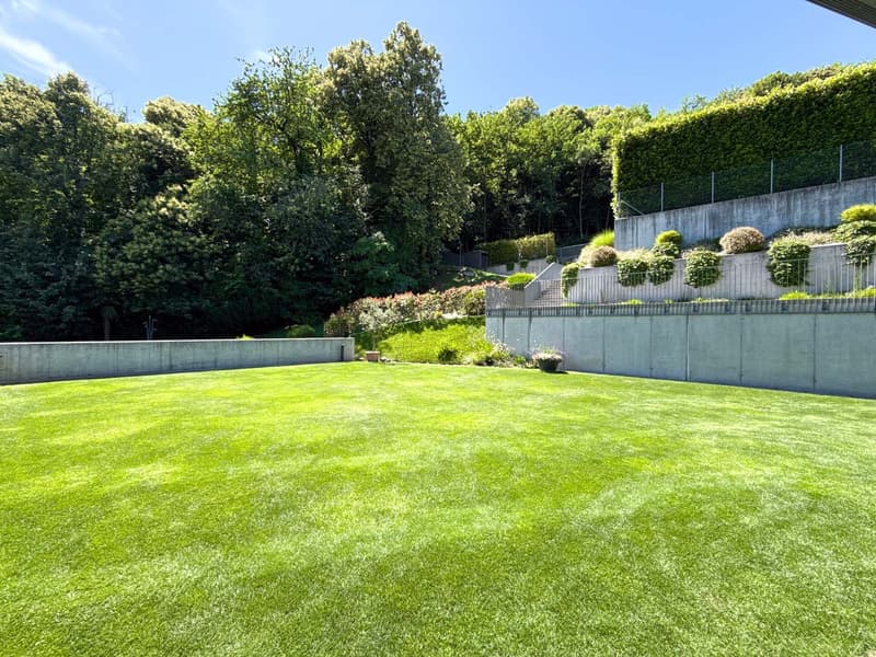 Appartamento con giardino, piscina, sauna e palestra a Montagnola (7)