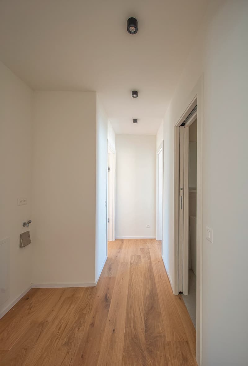 Nuovo e spazioso 3.5 locali a Massagno (4)