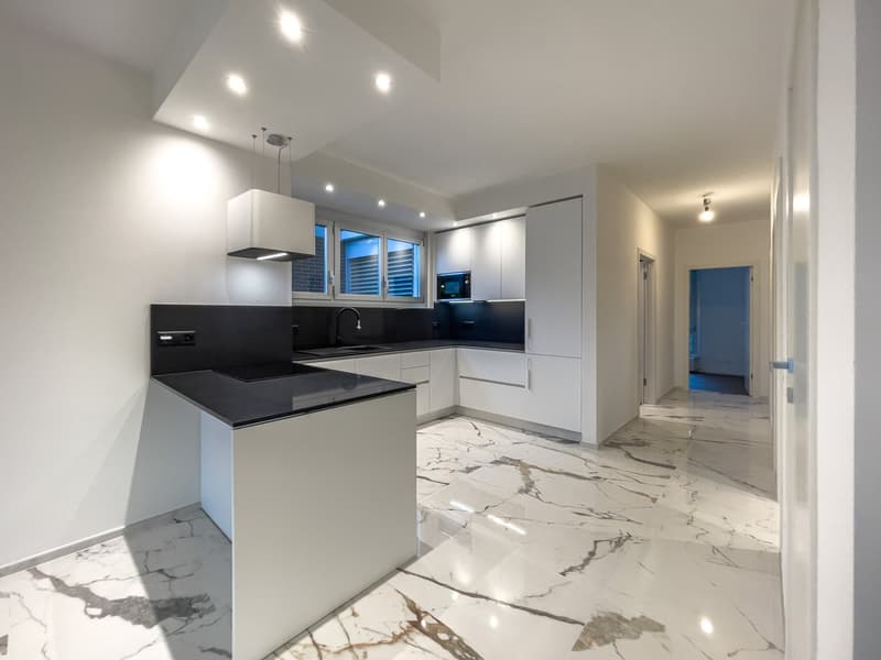 Appartamento 4.5 locali completamente ristrutturato a Lugano (5)