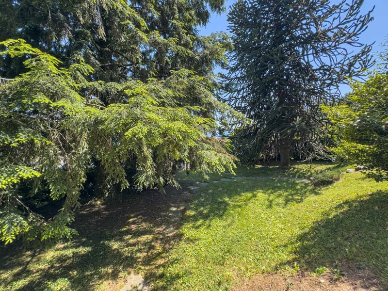 Villa con giardino e vista aperta sul golfo di Lugano a Carona (13)