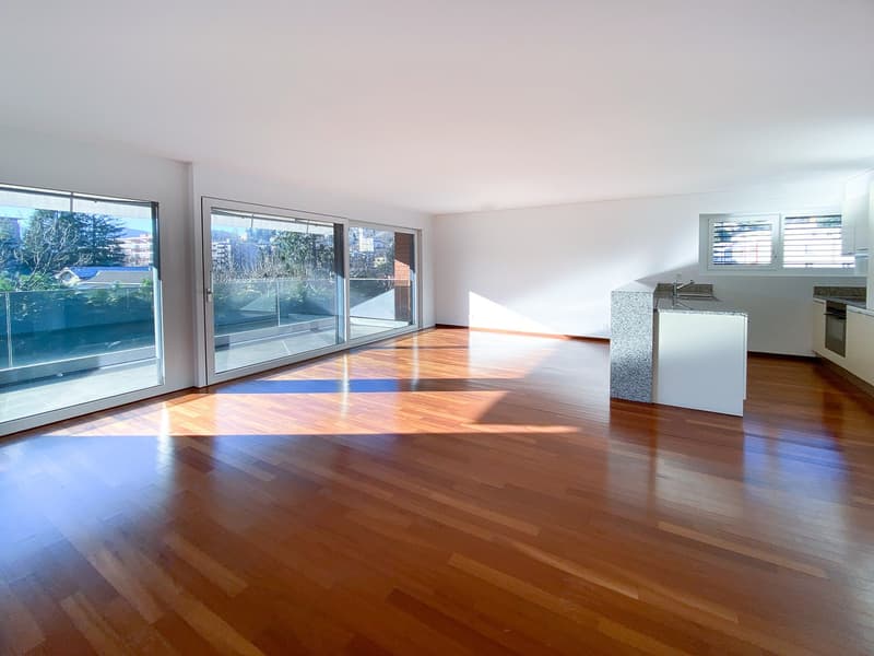Ampio 3.5 locali con terrazzo ad Agno (2)