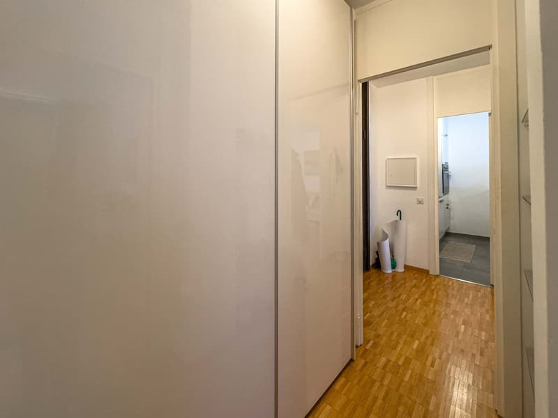 2.5 locali vicino al centro di Lugano (5)