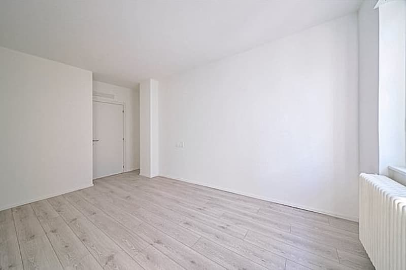 Großes 4.5-Zimmer-Wohnung komplett renoviert in Chiasso (4)