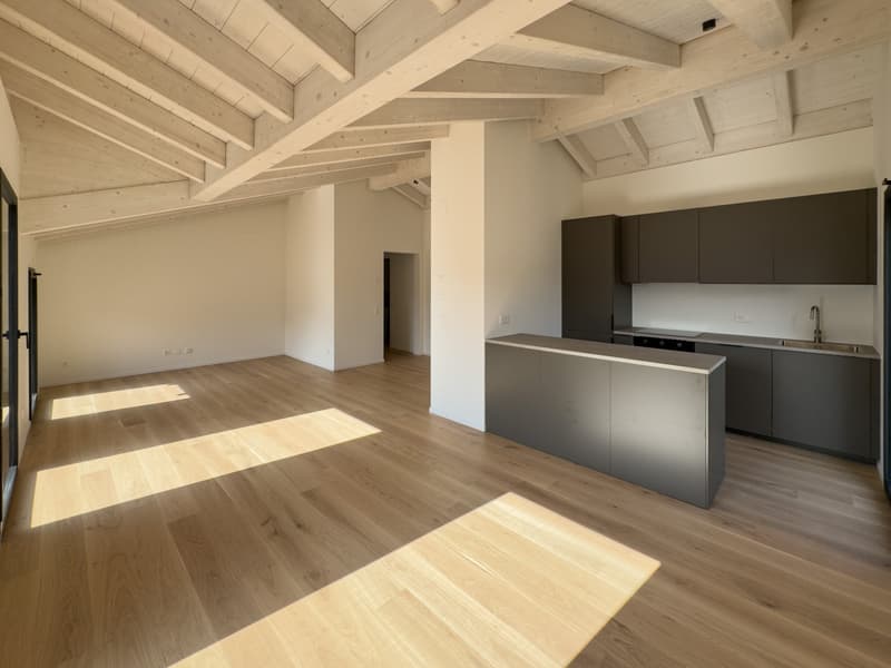 Nuovo attico 3.5 locali a Massagno (3)