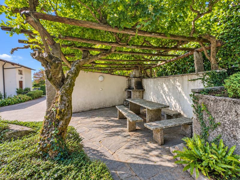 Appartamento 3.5 locali con giardino a Carona (7)