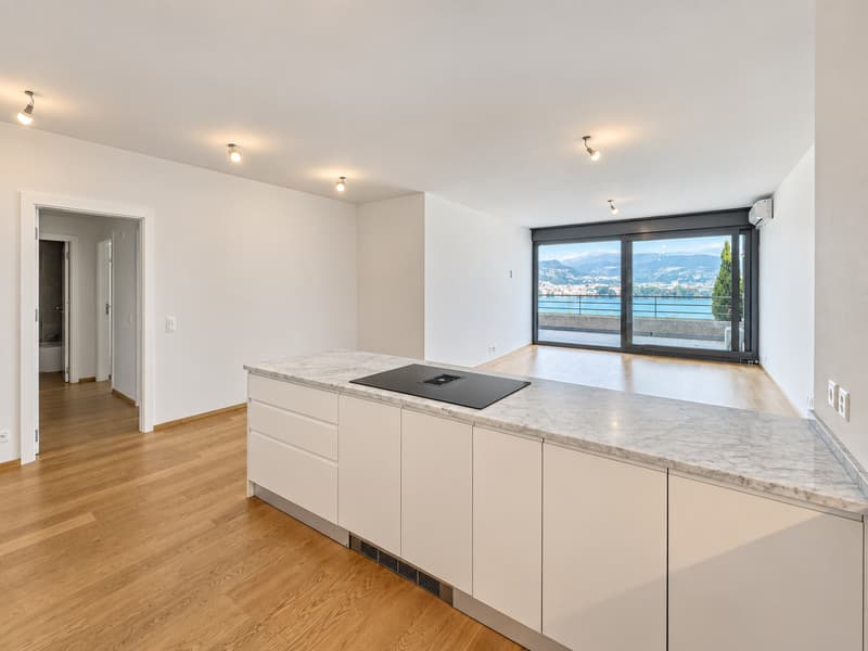 Appartamento 3.5 locali vista lago a Paradiso (2)