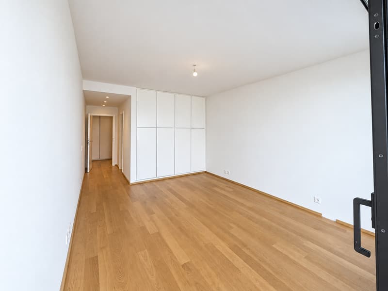 Appartamento 3.5 locali vista lago a Paradiso (6)