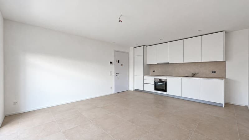 Appartamento 3.5 locali con terrazza in prima locazione a Stabio (3)