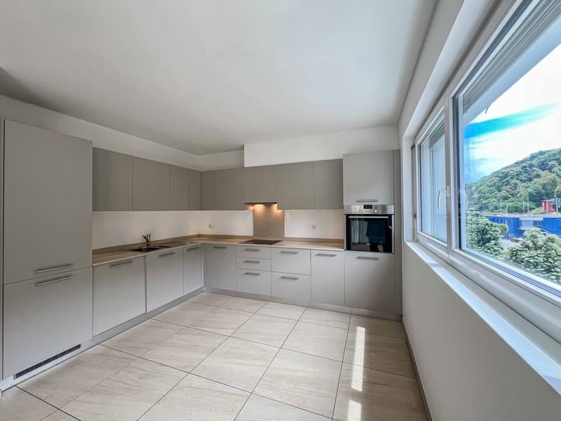 Appartamento 3.5 locali in affitto a Chiasso (3)