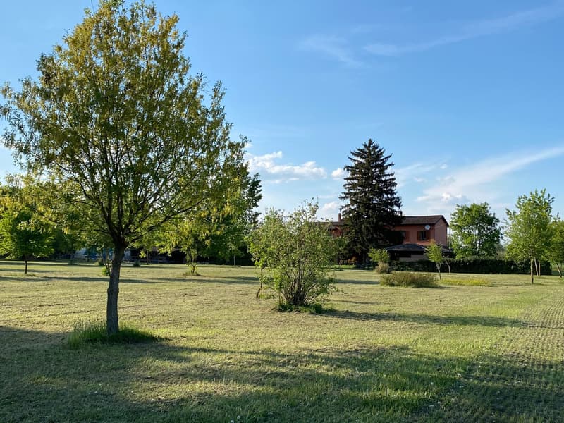 Casa di campagna molto curata in posizione tranquilla e soleggiata a sud con grande terreno (23)