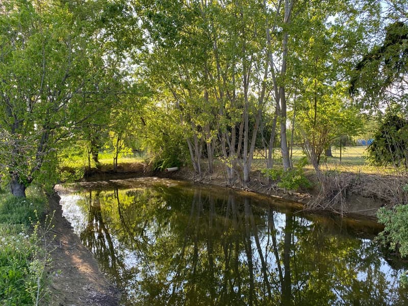 Casa di campagna molto curata in posizione tranquilla e soleggiata a sud con grande terreno (24)
