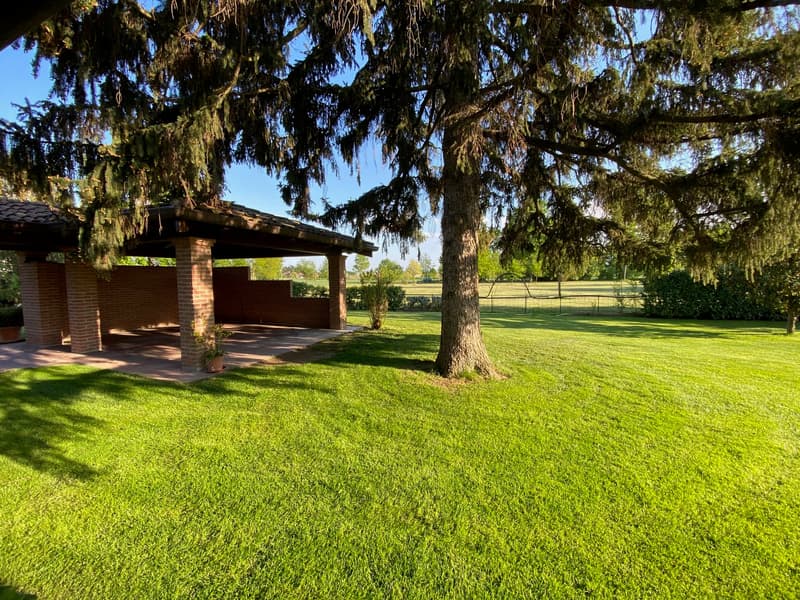 Casa di campagna molto curata in posizione tranquilla e soleggiata a sud con grande terreno (19)