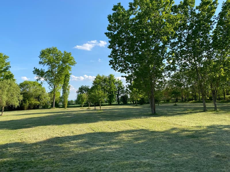 Casa di campagna molto curata in posizione tranquilla e soleggiata a sud con grande terreno (21)