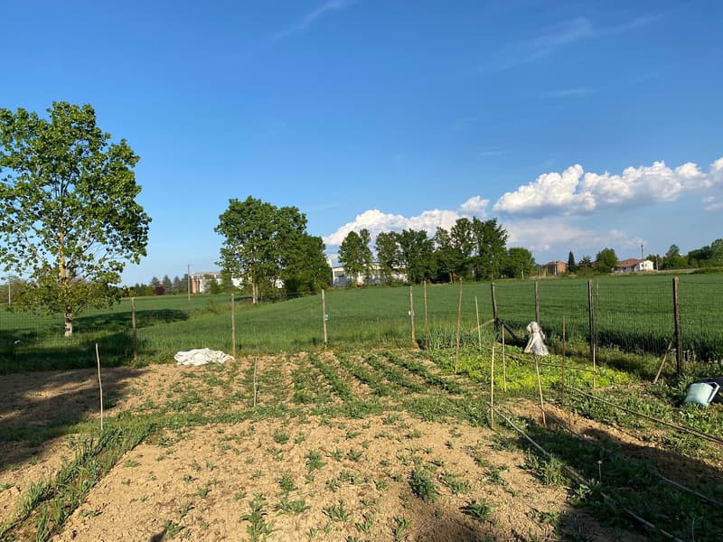 Casa di campagna molto curata in posizione tranquilla e soleggiata a sud con grande terreno (22)