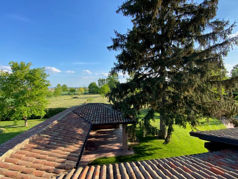 Casa di campagna molto curata in posizione tranquilla e soleggiata a sud con grande terreno (26)