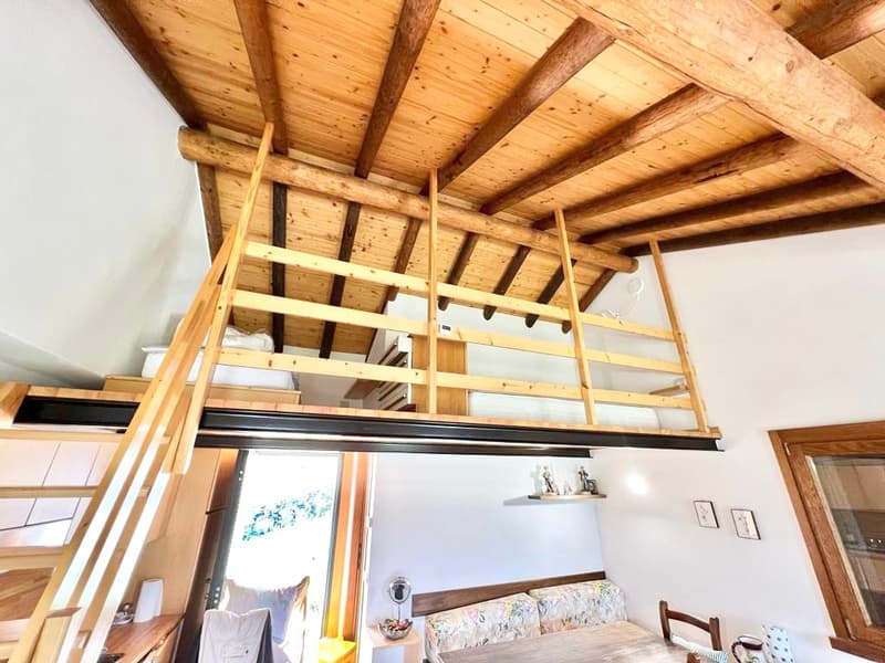 3 rusticos rénovés dans un endroit calme et ensoleillé avec vue imprenable sur le lac Majeur (13)