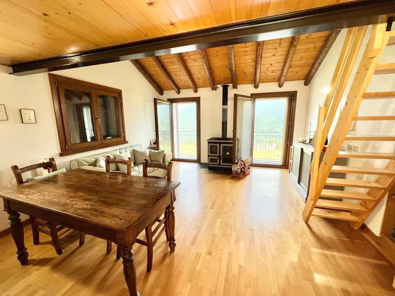 3 rusticos rénovés dans un endroit calme et ensoleillé avec vue imprenable sur le lac Majeur (12)