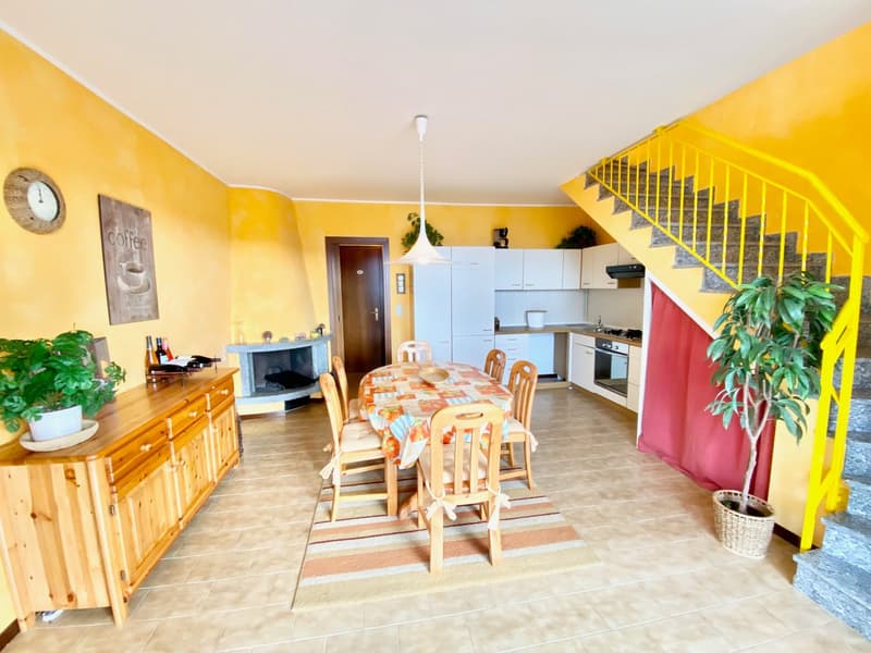 fireplace, yellow walls, dining table and chairs, rug, wooden cabinet, potted plants