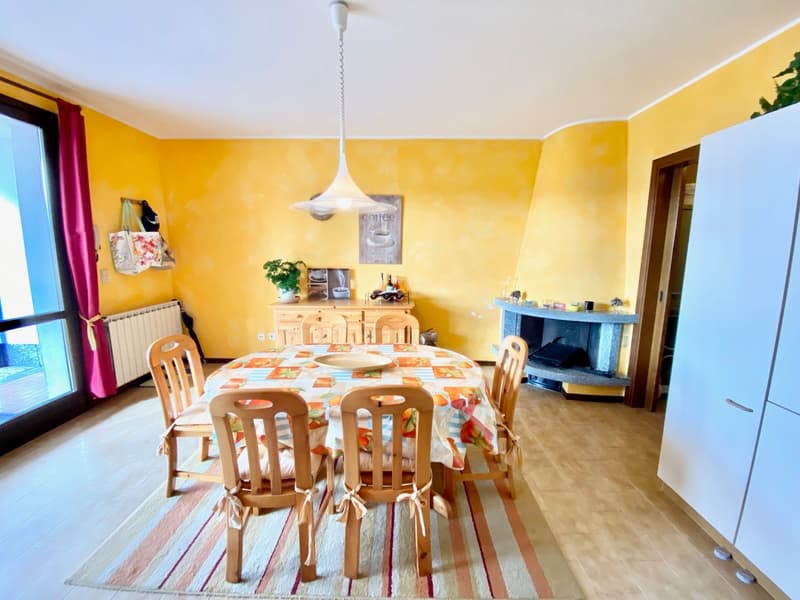 Dining room with wooden dining table, chairs, white refrigerator, yellow walls, glass door, fireplace, potted plant, radiator, picture frames, and a white ceiling lamp