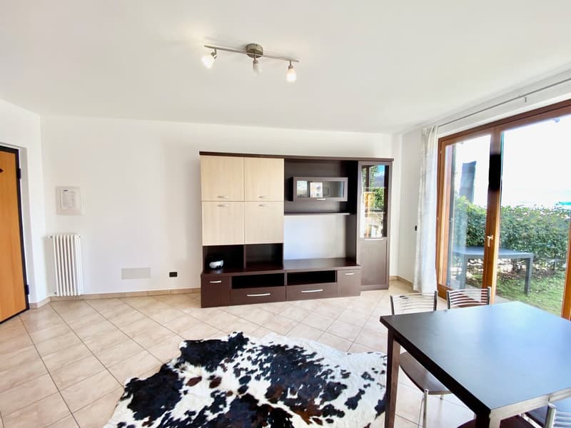living room with sliding doors, entertainment system, cowhide rug, modern furniture